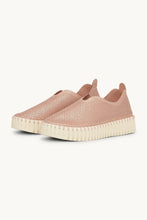 Ilse Jacobsen - Tulip Flats (3677) - Adobe Rose Pearled Ivory