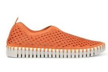 Ilse Jacobsen - Tulip Flats (3275) - Camelia