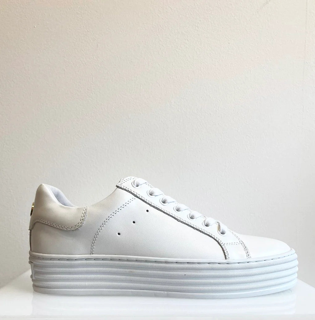 Phillip Hogg Lova Sneaker- White